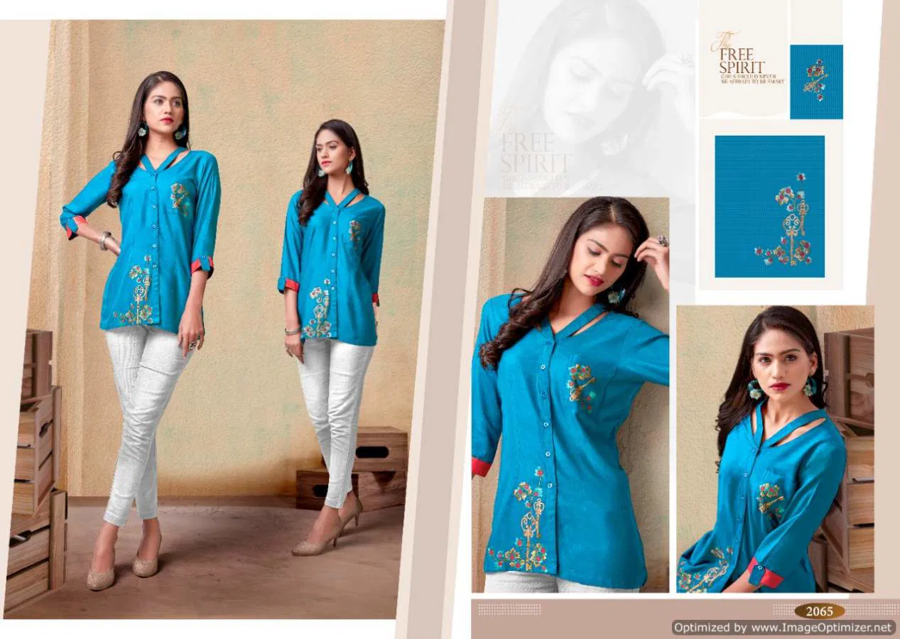 Vardan Nora 2 Stylisht Designer Ladies Top Collection